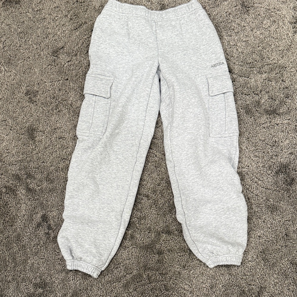 Aritzia Gray Cargo Sweatpants